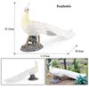 Oenux Bird Nest Animals Peacock Parrot Trogon Hornbill Owl Model PVC Action Figures Big Garden Decoration Cute Kids Toy Gift