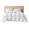 Ran Brand TTC Silent Anti-bacterial White Goose Feather Winter Duvet