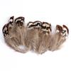 80 Natural Pheasant Feather Decorative Diy Jewelry Hair Accessories Material Cat Stick Toy Accessories