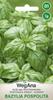 Common Basil 1g Basil Seeds -