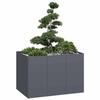 VidaXL Anthracite Planter 120x80x80 Cm Steel, Flower Pot, Plant Stand, Raised Bed, Planter Stand, Container 860789