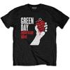 Green Day Unisex Adult American Idiot T-Shirt