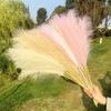 70cm 9-pronged Reed Pampas Grass Simulation Dried Reed Flower Artificial Pampas Grass