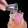 Transparent Plastic Corrugated Cup 25/50/100/250/500ml Measuring Jugs Seasoning Measuring Cup