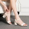 Special Women's Shoes Plus Size Sandals Women's Summer Fashion One-word Buckle Strap Thick Heel Evening High Heels