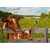 DIY Cow 5D Diamond Painting Full Round Drill Farm Animal Diamond Embroidery Cross Stitch Kit Mosaic Resin Home Decor Gift