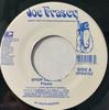7inch Record FIONA - Stop Talking VPS9152 Joe Frasier 2008 US Reggae, Ska & Dub Used