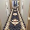 Luxury Design Long Carpet Runner for Corridor Hallway Decor Non-slip Strip Carpets HOTEL Living Room Doorway Washable Doormat