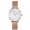 RORIOS Ladies Simple Stylish Mesh Belt Stylish Starry Sky Sparkling Business Quartz Watch for Women Ultra-thin Watch, Design, Women's Watch, Dial,