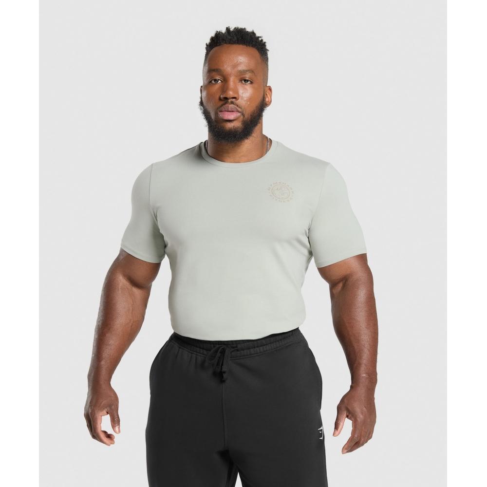 Gymshark Футболка Legacy Stone Grey A5a3b Gb7s