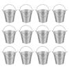 PATIKIL X Small Metal Buckets with Pack of 12 Mini Galvanized Buckets for Party Silver 2.7" 2.3" Handles, Crafts, Favors, Decorations,