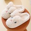 Slippers Women Wear Autumn and Winter New Indoor Home Cute Cartoon Sweet Plush Slippers
