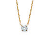 [B9854] - Gold Plated Necklace 'Essentiel' Golden White - 5 Mm