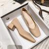 2024 Spring New Shallow Mouth Square Head High Heel Women's Thick Heel Gentle Middle Heel Single Shoes