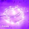 LEDs String Light Copper Wire Christmas Fairy Lights Battery Operated for Indoor Outdoor Holiday