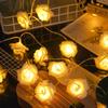 520 Valentine's Day Rose String Lights for Indoor & Girl's Room Decoration Atmosphere