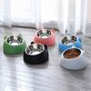 Stainless Steel Cat Bowl Dog Bowl Double Bowl To Protect Cervical Spine Cat Bowl Oblique Mouth Bowl