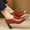 Metal Pointed Temperament Thick Heel Single Shoes Women's Retro Elegant Temperament Versatile Commuting Deep Mouth Side Zipper Fashion Single Shoes
