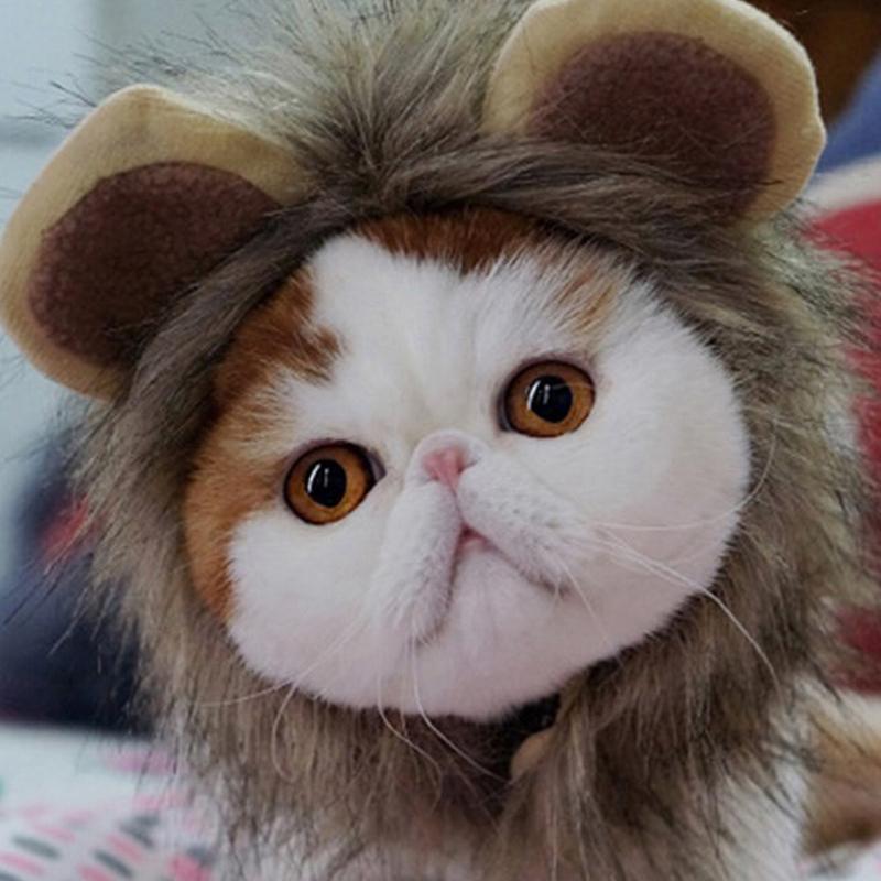 Cute Lion Mane Cat Hat for Dogs and Cat Small Dog Pet Cat Decor Accessories Lion Fancy Hair Pet Supplies