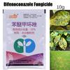 10 G Difenoconazole Fungicide Plant Safety Sterilization Disinfectant Garden Bonsai
