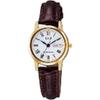 Citizen Women's A207-107 ( Watch Q&Q Day-Date) Watch