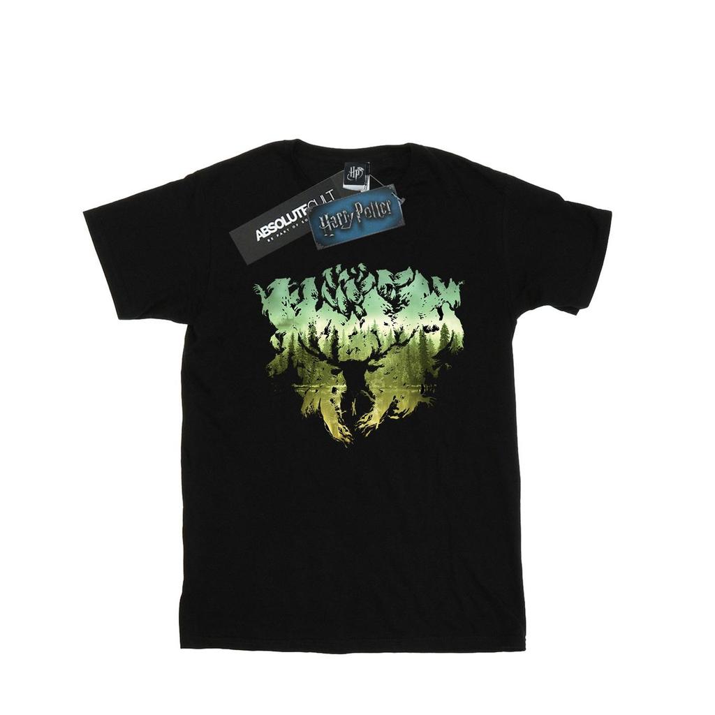 Harry Potter Mens Magical Forest T-Shirt