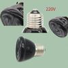 Tortoises Basking Lighting E27 EU Plug 220V Mini Pet Reptile Heat Lamp Kit Clip-on Ceramic Lights Holder Heating Set