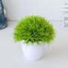 Beautiful Simulation Bonsai Easy Care No Withering Portable Fake Grass Plants Pot Ornament