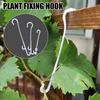 50PCS 13/16cm Tomato Hook Trellis Fixed Buckle Hooks Reusable Vines Fastener Clips