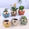 Wholesale Flowerpot Home Garden Mini Bonsai Cactus Owl Planter Pots Succulent Plant Flower Pot Wedding Birthday Gift