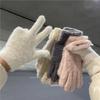 Cold-proof Furry Gloves Thickened Mink Velvet Gloves Cute Five Finger Gloves Winter