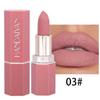 Nude Dark Brown Matte Velvet Lipstick Waterproof Long Lasting Color Rendering Nonstick Cupsole