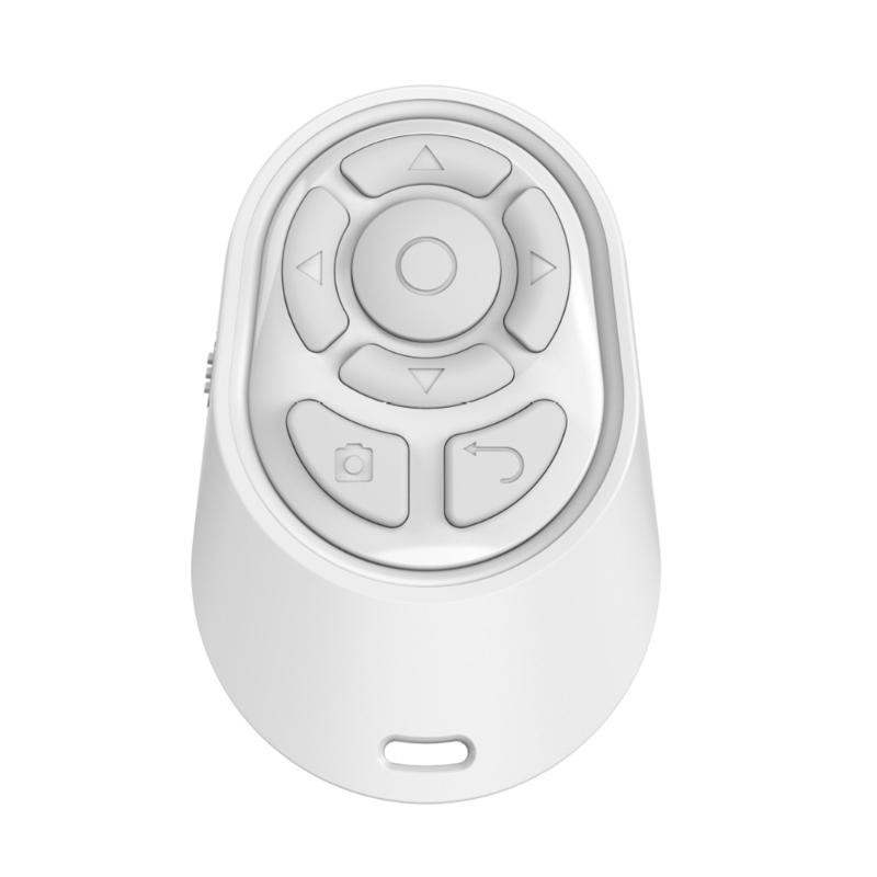 587D Wireless Presentation Remote Control PPT Flip Pen Pointers Clicker Presenter 10-15m Transmission Distance