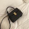 Spot Versatile Ins Messenger Bag Women's 2025 New Trendy Retro Portable Small Square Bag Niche Texture Shoulder Bag
