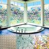 Self-adhesive Glass Stickers Window Bathroom Door DIY Decorative Home Decorations