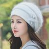 Women's Casual Autumn/Winter Knitted Wool Hats – Warm, Fashionable Outdoor Travel Accessories
