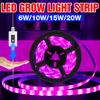USB Full Spectrum Phyto Bulb LED Grow Light Strip 5V Plant Lamp 0.5M 1M 2M 3M LED Phyto Tape For Greenhouse Hydroponic Phytolamp