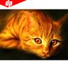 Diamond Embroidery Cat 5D DIY Full Round Cross Stitch Diamond Painting