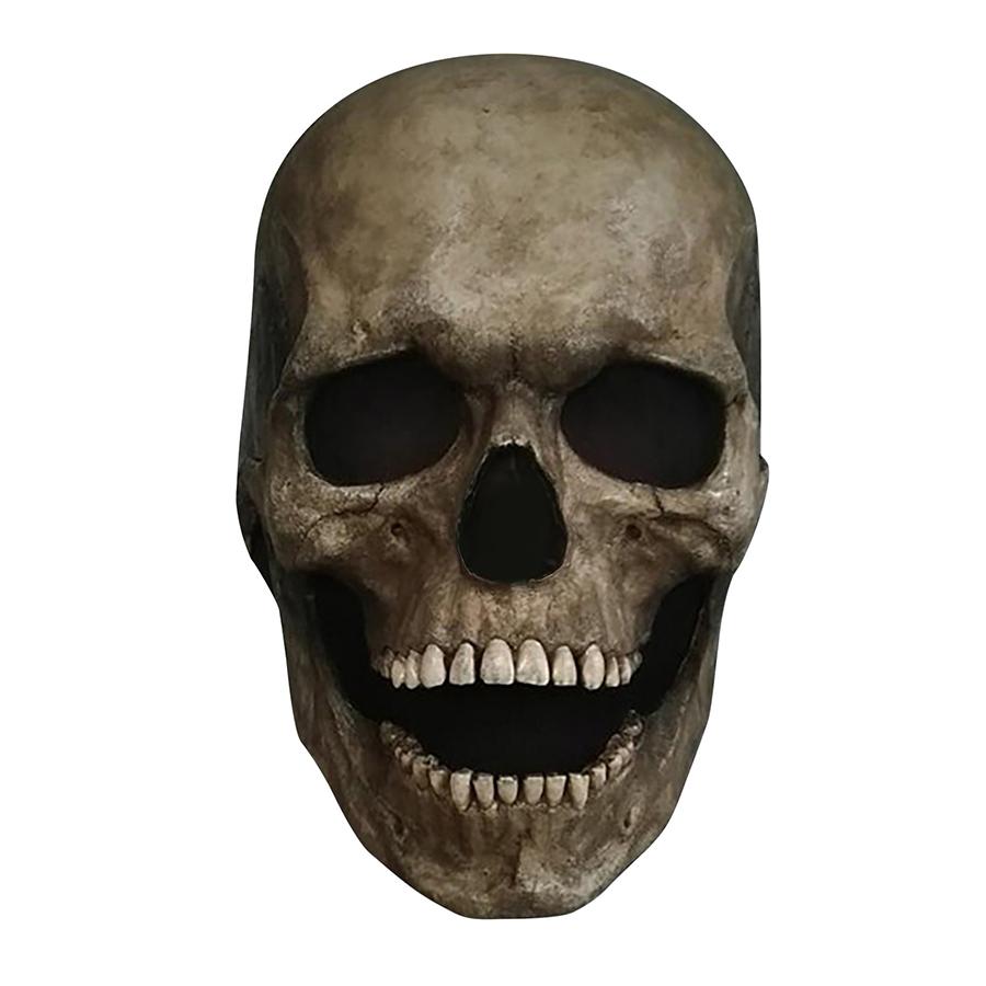 Full Head Skull Mask/Helmet With Movable Jaw Cosplay For Halloween &Themed Photo
