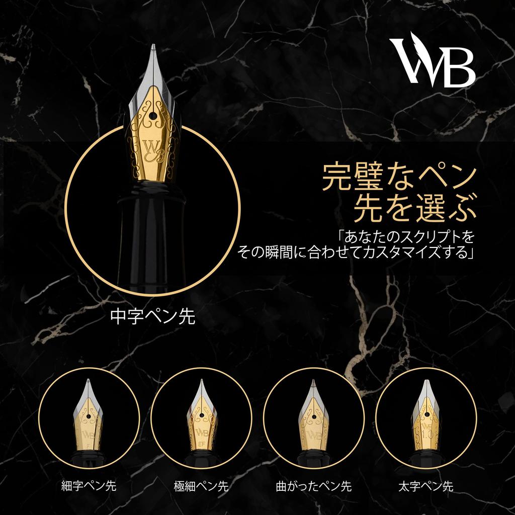 Wordsworth Black Fountain Pen 18K Ink Ink Refill Gift Box Chrome Ideal for Men and Women & Set, Gold-Plated Extra-Fine Nib, 24-Pack Cartridges,