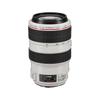 Canon EF 70-300mm F4-5.6L IS USM Zoom Lens