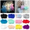 50pcs Fashion Natural Color DIY Home Decoration Costume Decoration Colorful Feather Goose Feathers