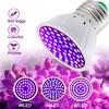 Led Grow Bulb 220V E27 60 80LEDs Full Spectrum LED Plant Greenhouse Hydroponic Growth Light Indoor Plant Phyto Flower Lamp
