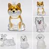 3Pcs Cat Hair Storage Box Keychain Transparent Acrylic Dog Hair Memorial Bottle Pet Hair Collector Container Key Ring Pet Owner Keepsake Gift