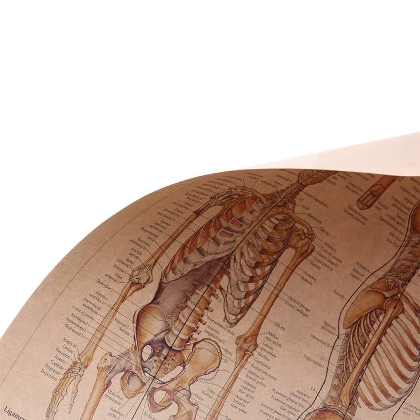 Human Paintings Body Function Structure Diagram Retro Style Kraft Paper Poster