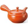 Commercial Tokoname Ware Teapot with Made In Japan J-kitchens Strainer, 580cc,