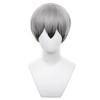 Short Anime Character Cosplay Perfect for Comic Market Cultural School and Other Includes Wig Gray/Black Wig, Accessory, Heat-Resistant Wig, Events,