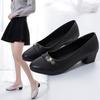 Single Shoe Women's Low Heel Spring New Style Shallow Mouth Thick Heel Women's Leather Shoes Black Work Shoes
