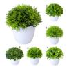 Beautiful Simulation Bonsai Easy Care No Withering Portable Fake Grass Plants Pot Ornament