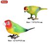 Oenux Bird Nest Animals Peacock Parrot Trogon Hornbill Owl Model PVC Action Figures Big Garden Decoration Cute Kids Toy Gift